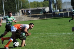 photo_12