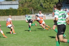photo_14