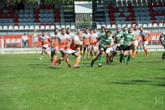 photo_17