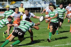 photo_19