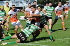 photo_20