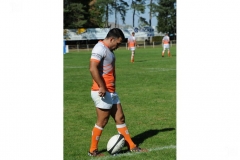 photo_22