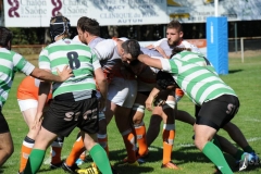 photo_26