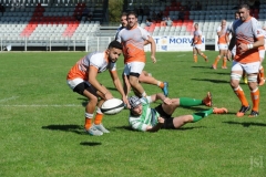 photo_29