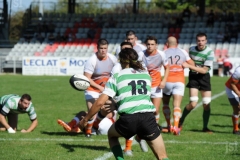 photo_3