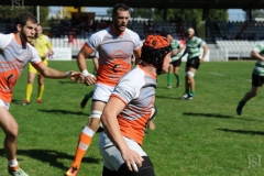 photo_7