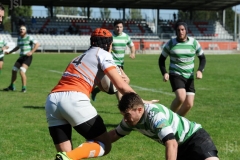 photo_8
