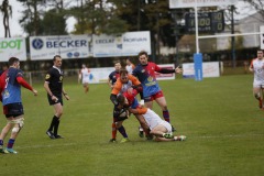 photo_15