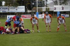 photo_16