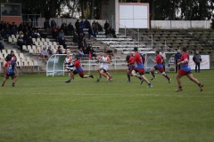 photo_20