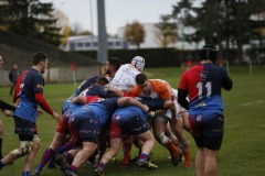 photo_21