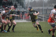 photo_11