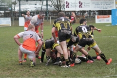 photo_4