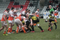 photo_5