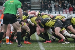photo_6