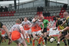 photo_8