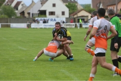 photo_1
