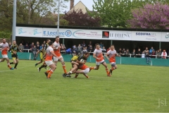 photo_11