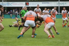 photo_12