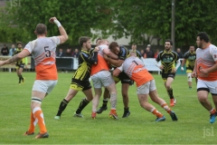 photo_6