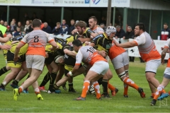 photo_8