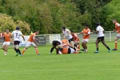 photo_16