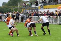 photo_28