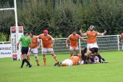 photo_46