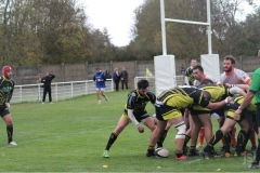 Photo_27