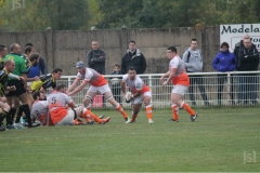 Photo_11