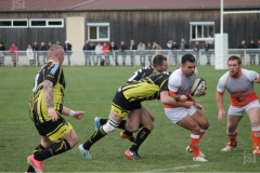 Photo_12