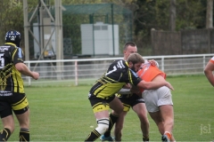 Photo_15