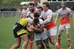 Photo_26