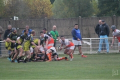 Photo_29