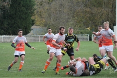 Photo_31