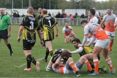 Photo_5
