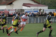 Photo_7