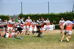 photo_15