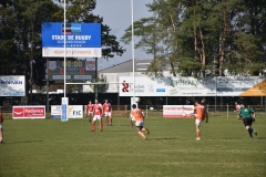 photo_19
