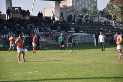 photo_24