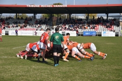 photo_26