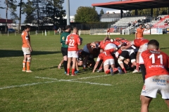 photo_36