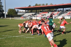 photo_38
