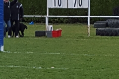 2018-4 Février - A l'issue du match St-Apollinaire- RTC4