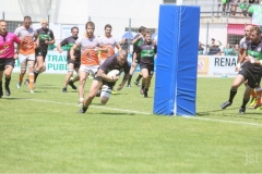 photo_24